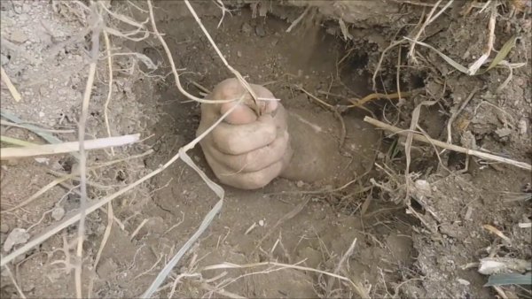 Фото Деда хабара