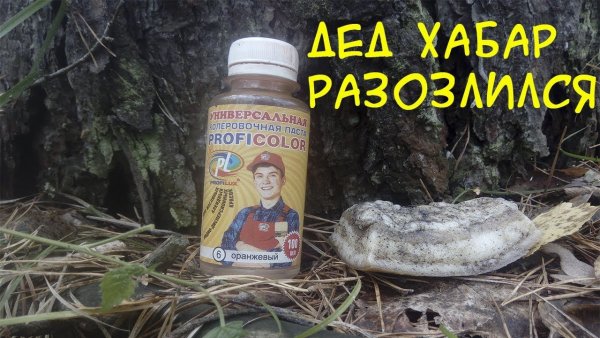 Дед Хабар Земляной дед