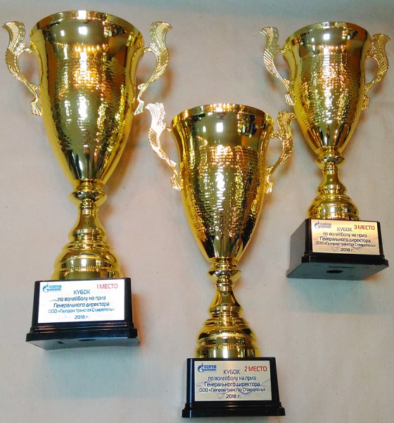 Переходящий Кубок