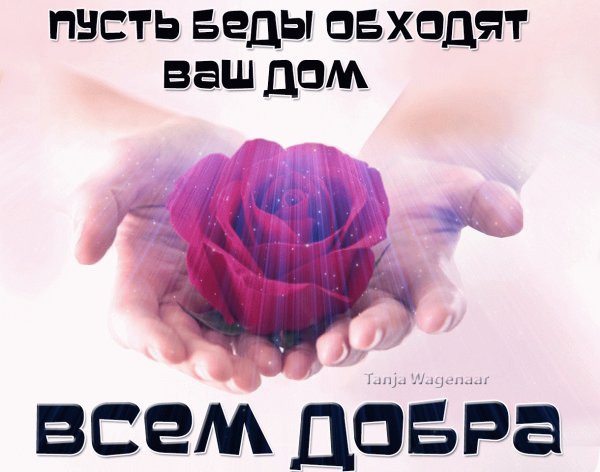 Утренние Стикеры