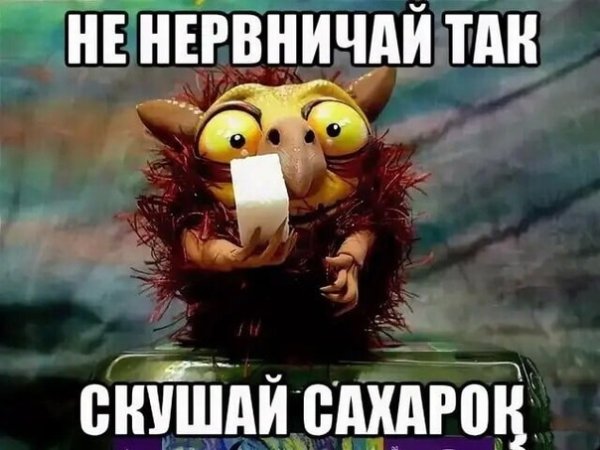 Знак первый день за рулем