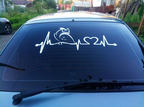 Надписи на лобаш