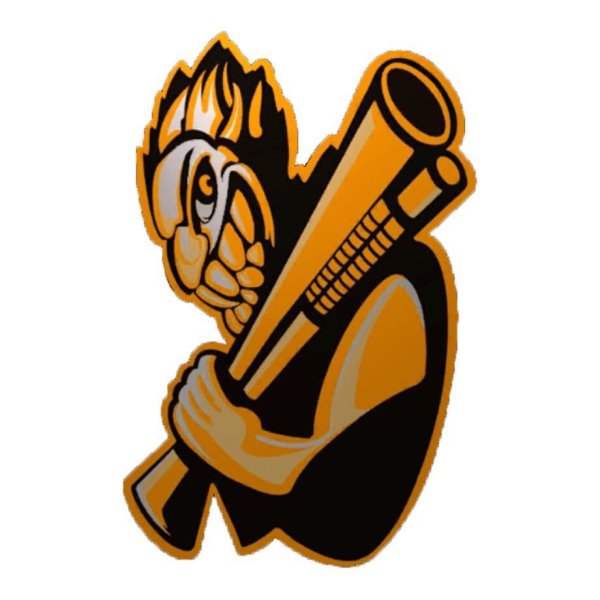 Gold Skull стандофф 2