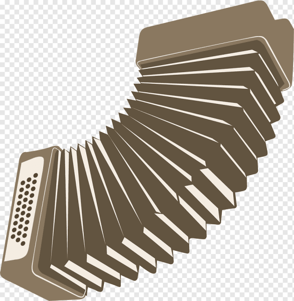 Баян раскраска