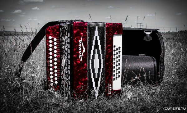 Старинный аккордеон