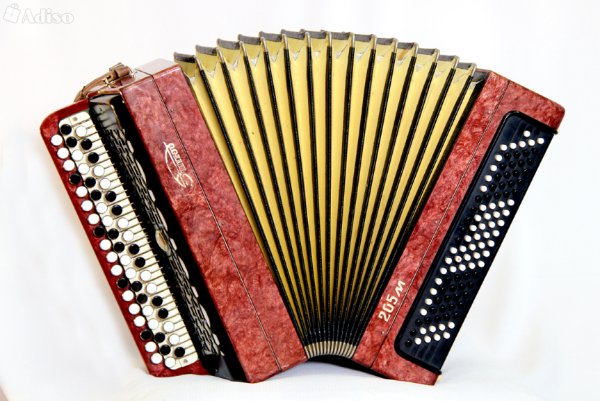 Медведь с гармошкой