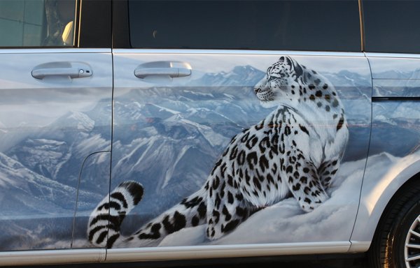 Ирбис аэрография