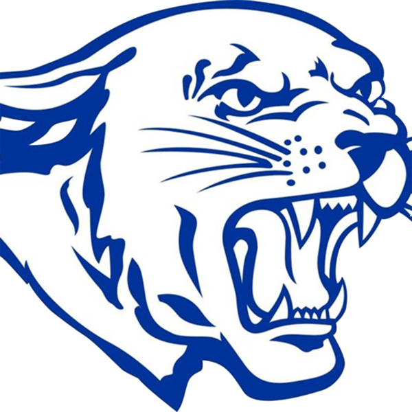 Голова Барса вектор