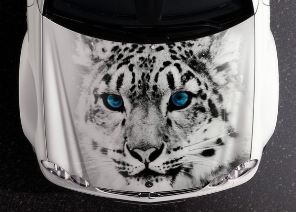 Снежный Барс наклейка на авто