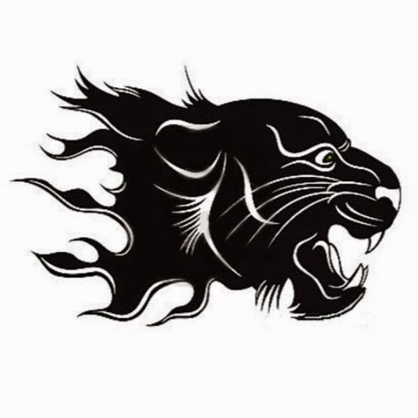 Барс наклейка на авто