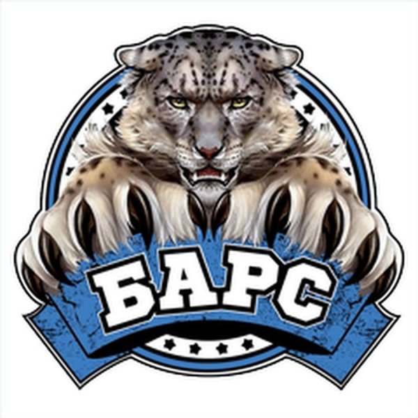 Барс Волгоград