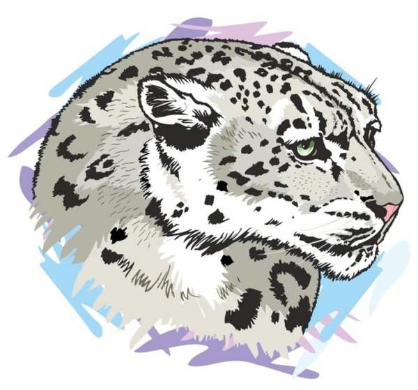 Снежный Барс Эльвира Насонова