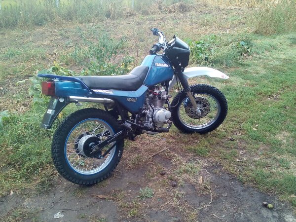 ЗИД 200 курьер кросс