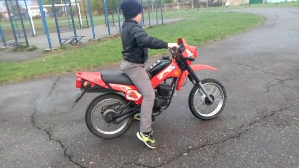 ЗИД пилот мотард