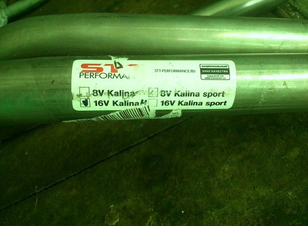 Наклейка на лобовое стекло питбуль