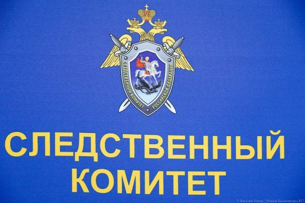 Следственный комитет надпись