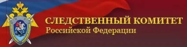 Следственный комитет при прокуратуре РФ