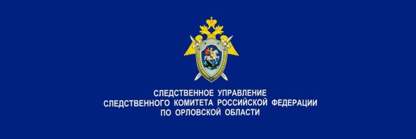 Следственный комитет фон