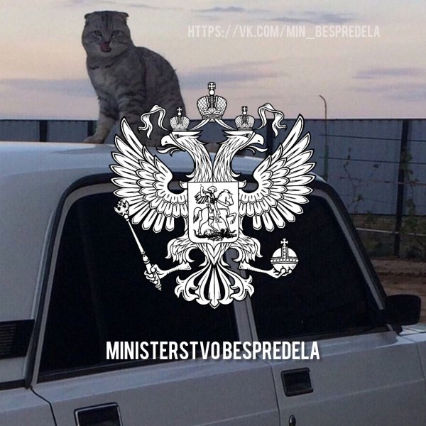 Надпись отдел по борьбе с понтами