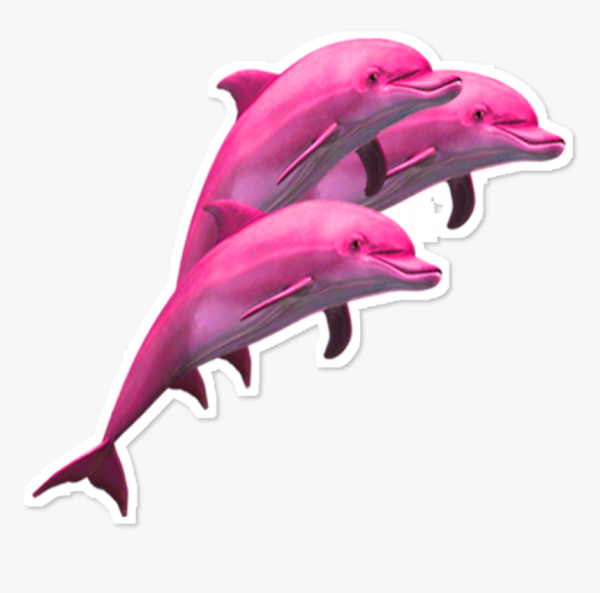 Картинки розового дельфина