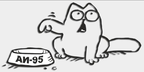 Кот Саймон АИ 92