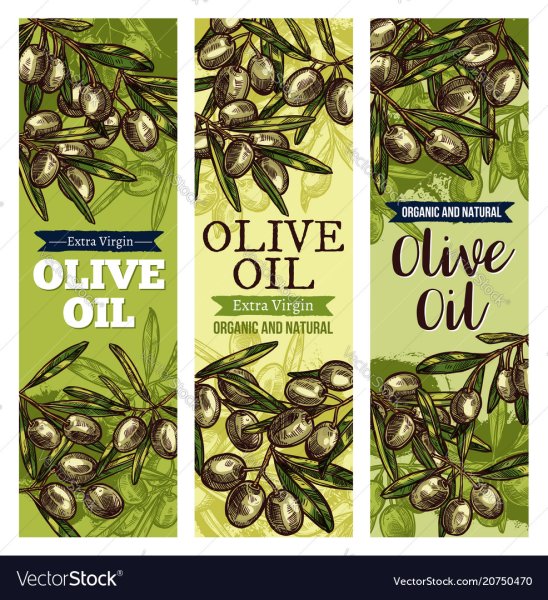 Логотип оливкового масла