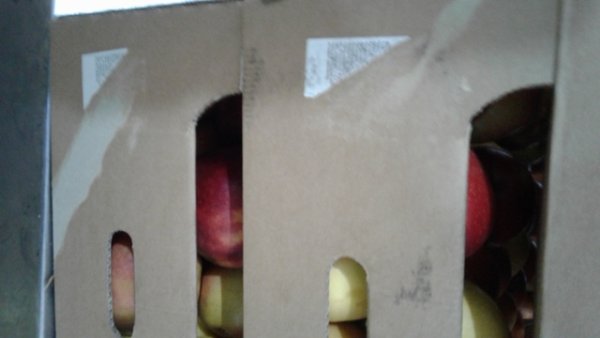 Красное яблоко вектор