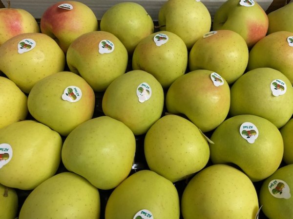 Яблоки Голден Азербайджан