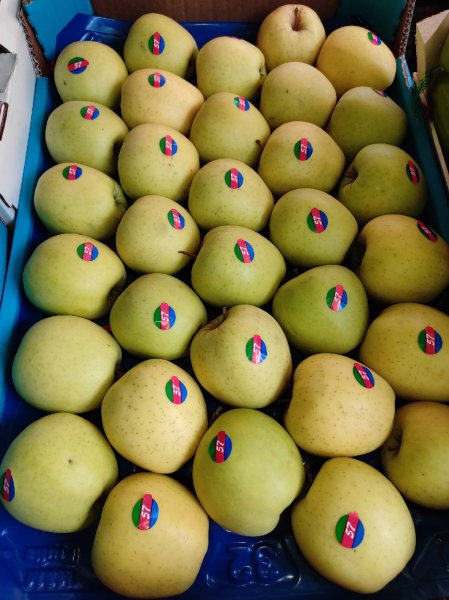 Яблоко вектор