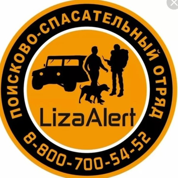 Лиза Алерт логотип вектор