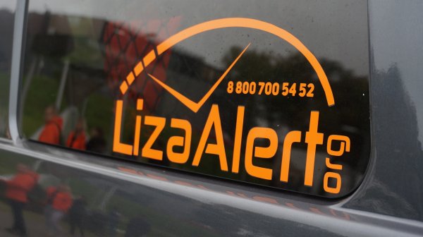 Лиза Алерт наклейка