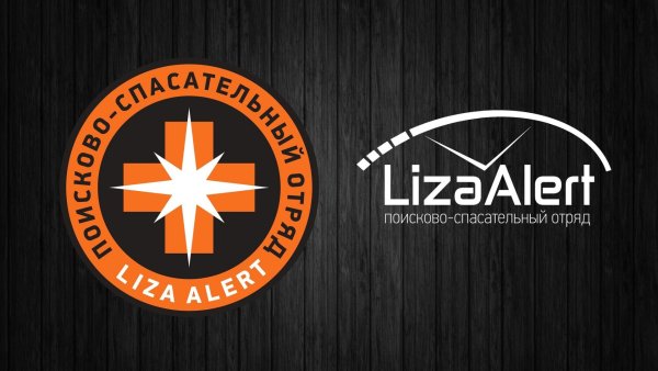 Лиза Алерт заставка