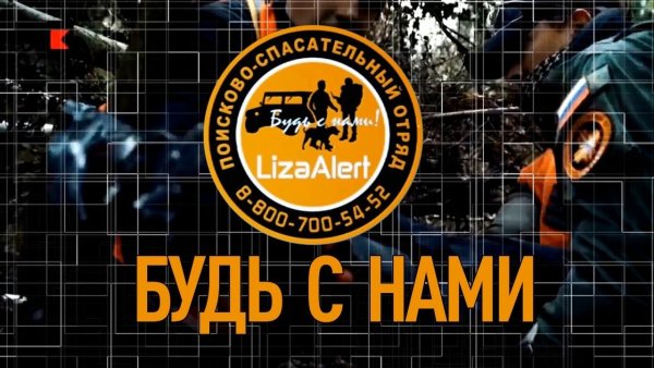 Лиза Алерт логотип