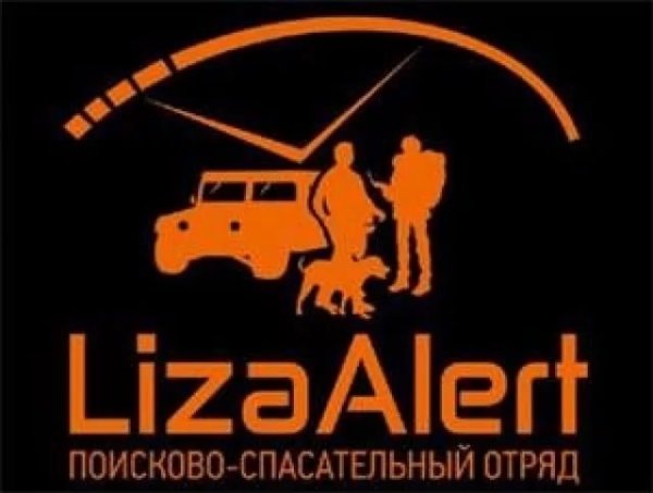 Лиза Алерт надпись