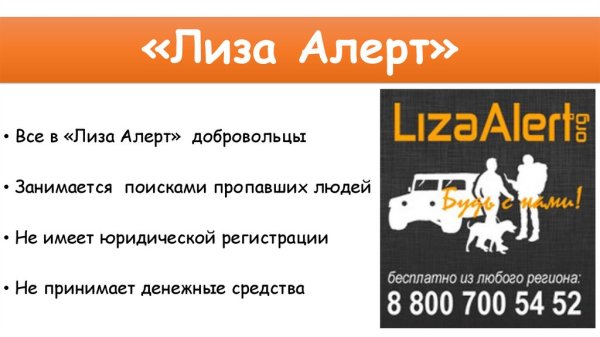 Жилетка Лиза Алерт