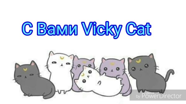 Котик арт на белом фоне