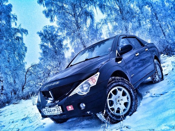 Наклейки питбуль на авто Киа Рио