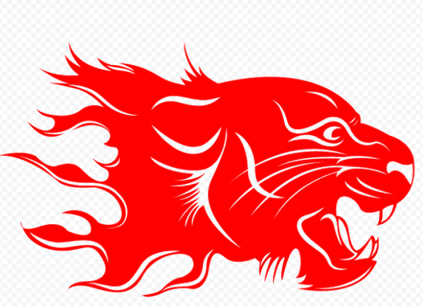 Винил зубы на авто