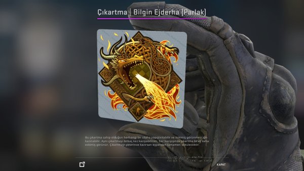 Акула логотип