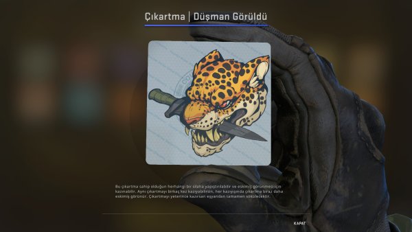 Львица с надписями