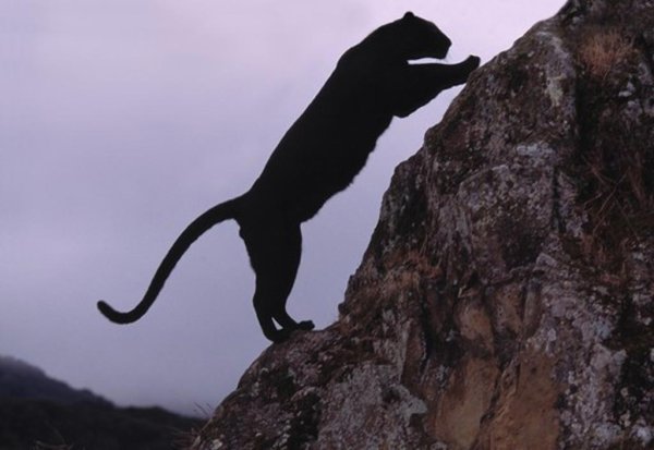 Бухта охотника фильм 2017