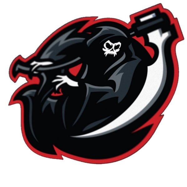 Рейвен ДС ФОРТНАЙТ