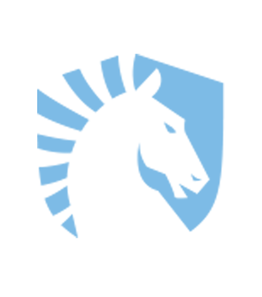 Тим Ликвид КС