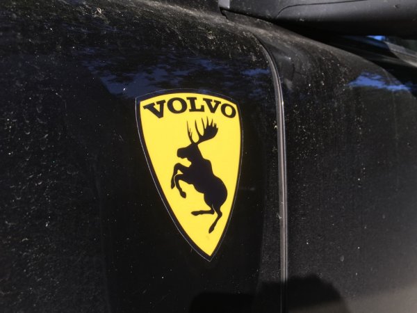 Гарцующий Лось Volvo