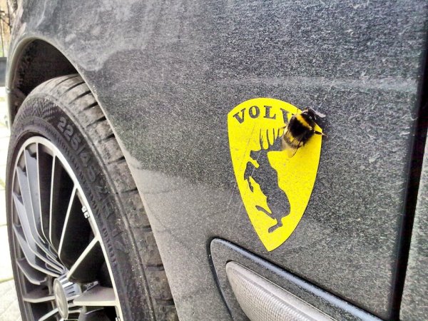 Наклейка Вольво Лось