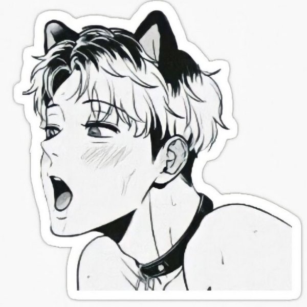 Дон Гюн аниме