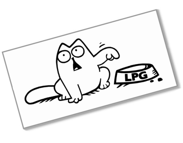 Голодный кот Саймон