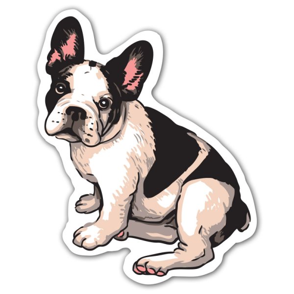 Бульдог Супергерой раскраска