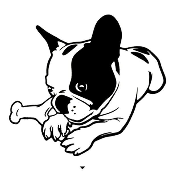 Собака французский бульдог