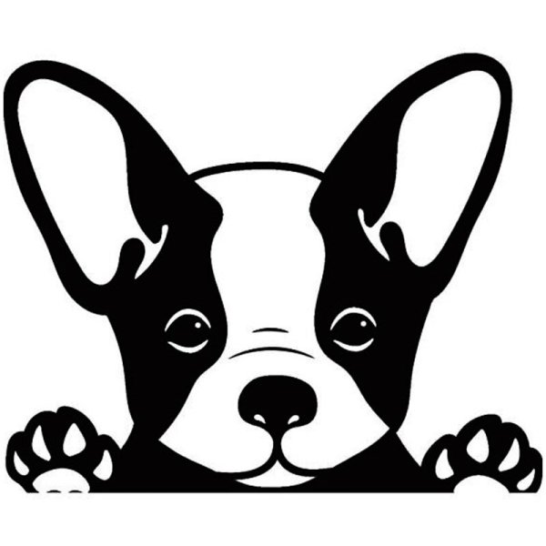 Наклейка французский бульдог